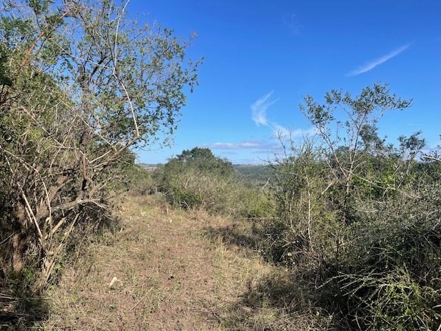 3 Bedroom Property for Sale in Summerpride Eastern Cape